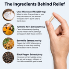 Relievia™ Micronized PEA