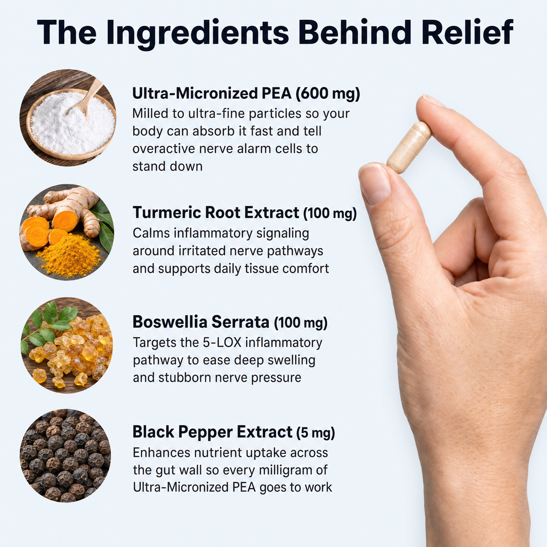Relievia™ Micronized PEA